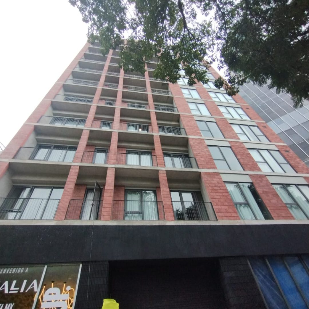 WhatsApp Image 2026-01-08 at 11.02.41 PM