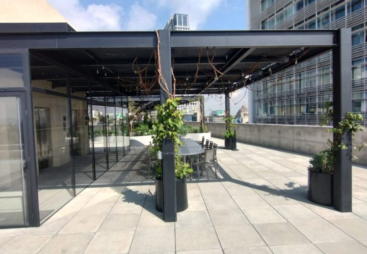 WhatsApp Image 2026-01-08 at 3.35.33 PM