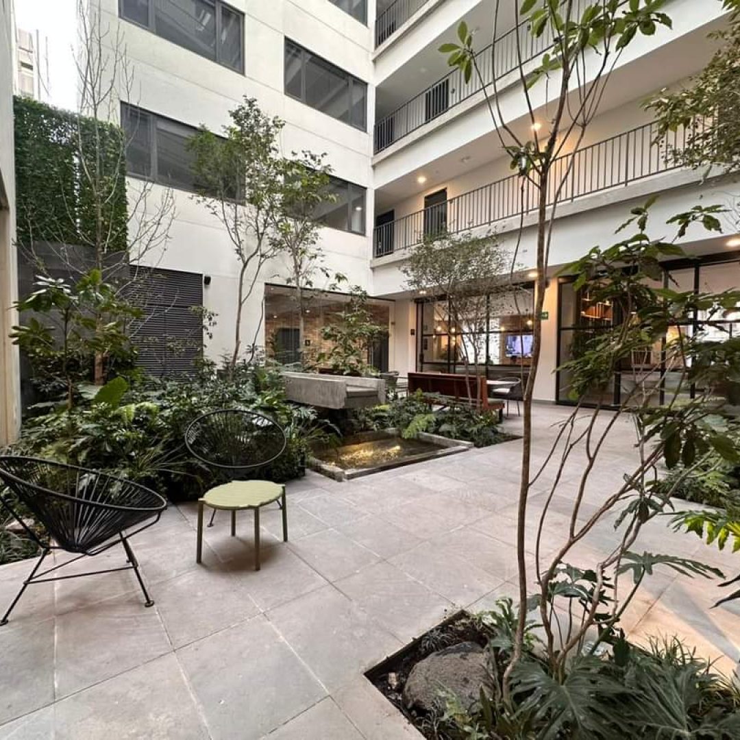 WhatsApp Image 2026-01-12 at 3.53.21 PM