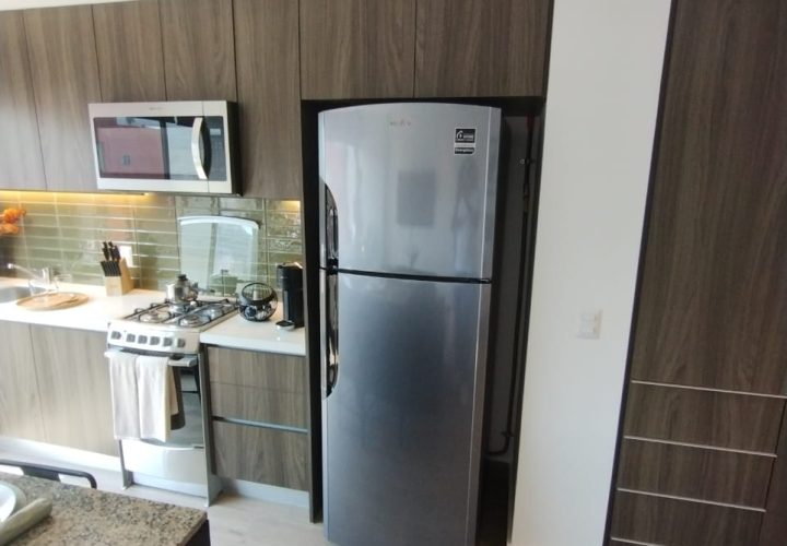 WhatsApp Image 2026-01-12 at 3.53.23 PM